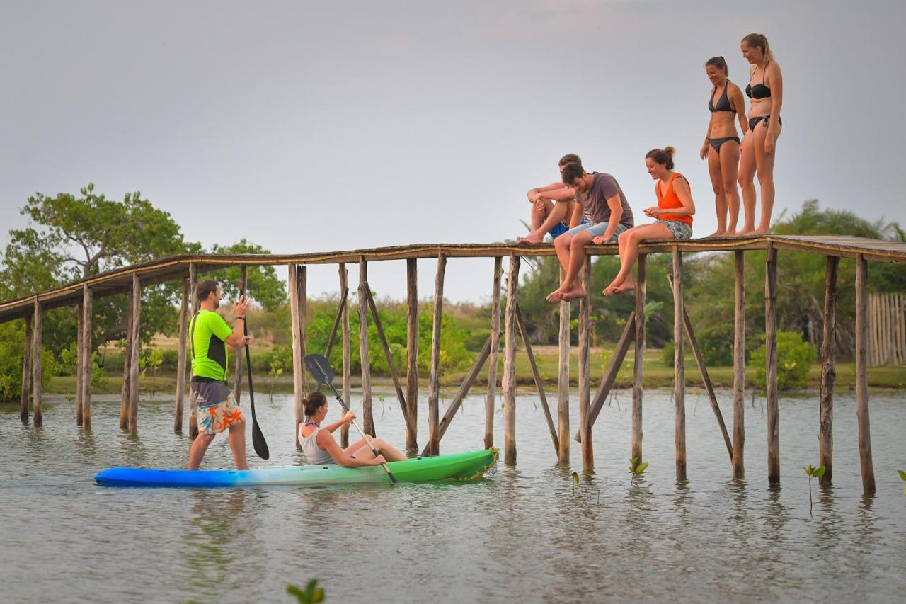 מלון קלפיטייה Kitesurfing Lanka מראה חיצוני תמונה